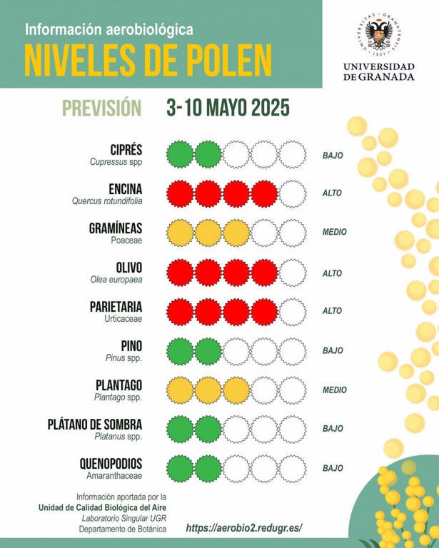 Niveles de polen entre el 3 y el 10 de mayo (UGR)