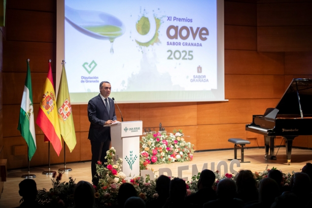 Entrega de los premios AOVE (DIPGRA)