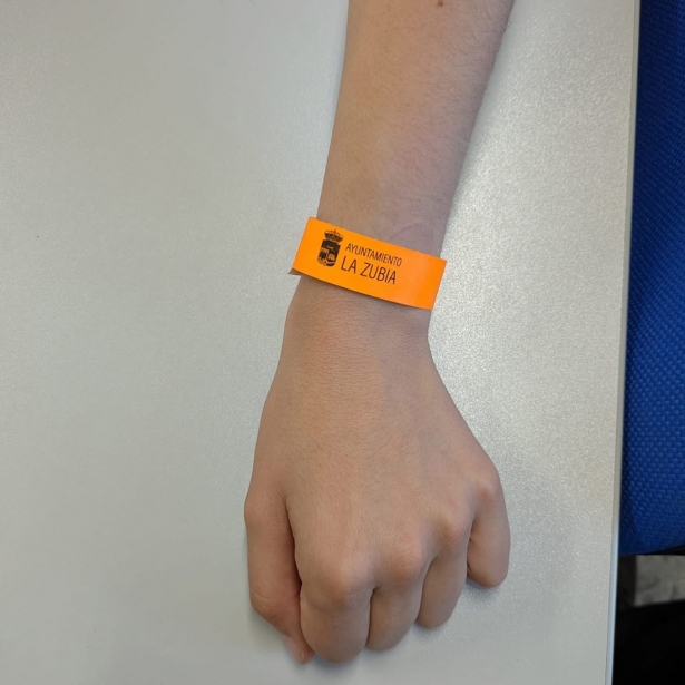 (AYUNTAMIENTO LA ZUBIA)