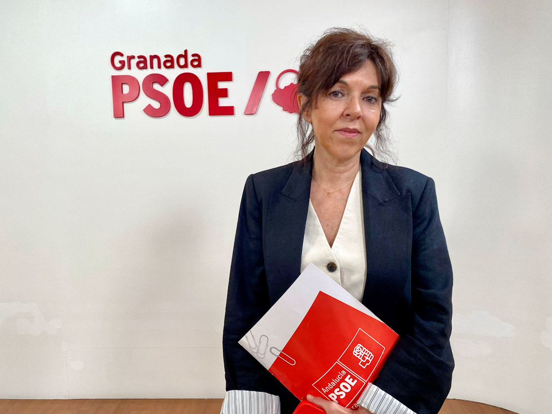 (PSOE)