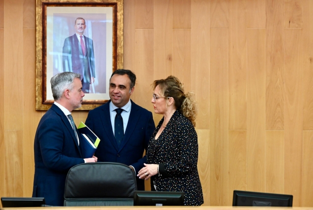 Pleno extraordinario de Diputación (DIPGRA)