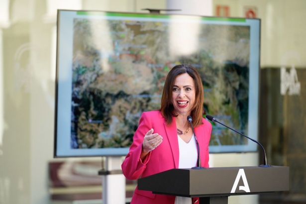 La Consejera de Fomento, Rocío Díaz (JUNTA) La Consejera de Fomento, Rocío Díaz (JUNTA)