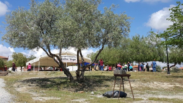 Romería de San Isidro en Cúllar Vega (AYTO. CÚLLAR VEGA) Romería de San Isidro en Cúllar Vega (AYTO. CÚLLAR VEGA)