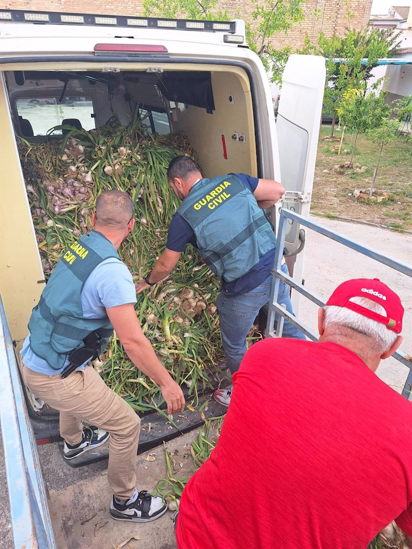Recuperación de ajos robados (GUARDIA CIVIL)