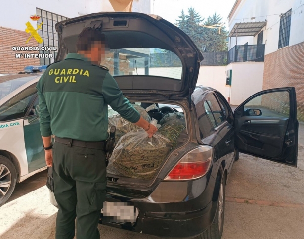 Marihuana incautada (GUARDIA CIVIL)