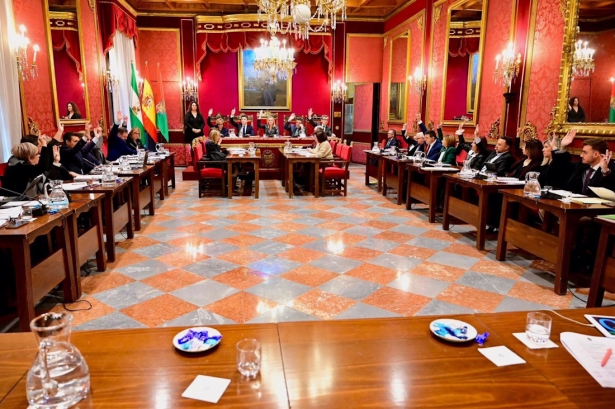 Pleno del Ayuntamiento de Granada, en imagen de archivo (AYUNTAMIENTO)