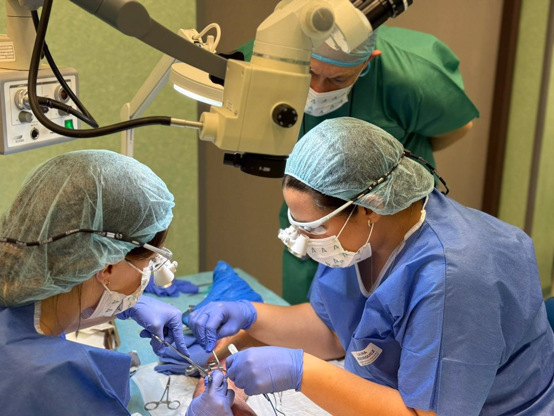 Imagen de una intervención de cirugía de brazo (JUNTA DE ANDALUCÍA)