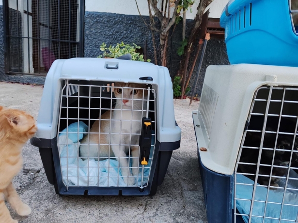 (AYTO. CUEVAS DEK CAMPO)