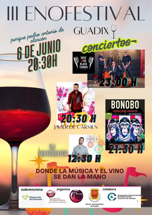 (AYUNTAMIENTO GUADIX) (AYUNTAMIENTO GUADIX)