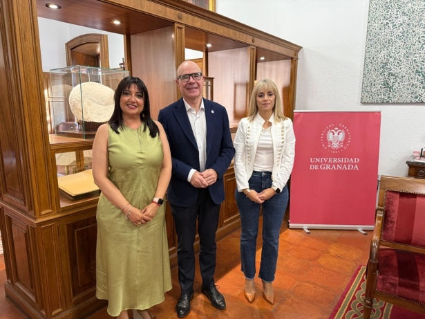 Imagen de lña reunión (AYTO. ARMILAL)