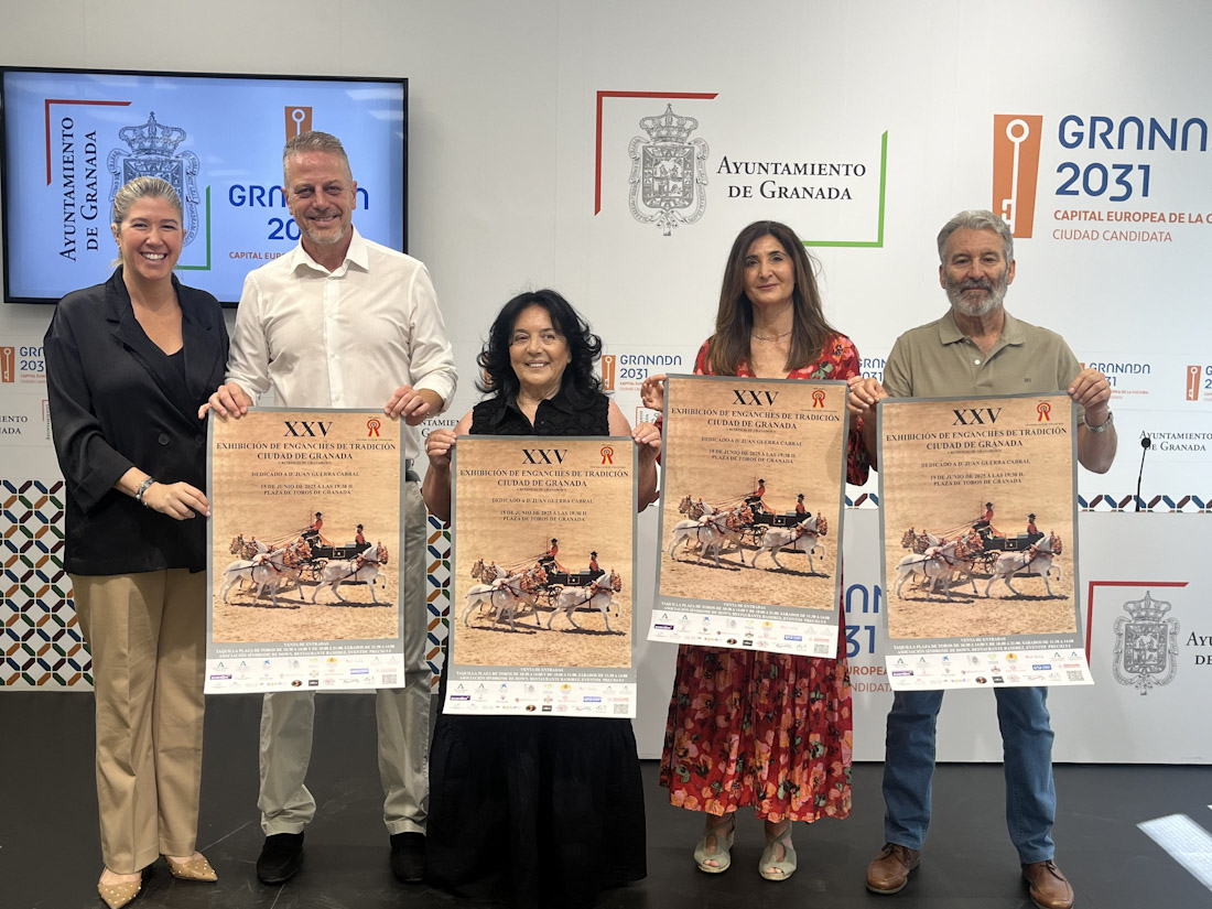 (AYUNTAMIENTO GRANADA)