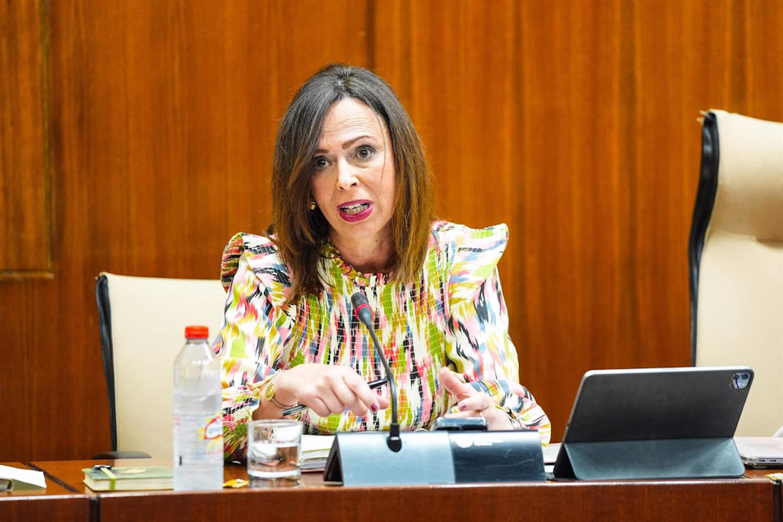 Imagen de archivo de la consejera de Fomento, Articulación del Territorio y Vivienda, Rocío Díaz, en comisión parlamentaria el pasado abril (JOAQUÍN CORCHERO/PARLAMENTO DE ANDALUCÍA)