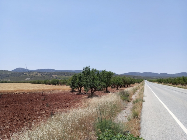 (ECOLOGISTAS EN ACCIÓN)