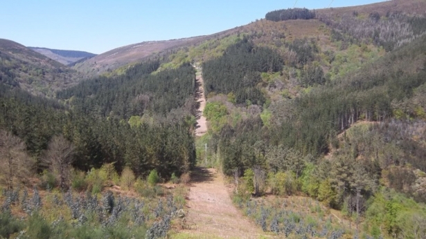 Entorno de líneas eléctricas de Endesa (ENDESA) Entorno de líneas eléctricas de Endesa (ENDESA)