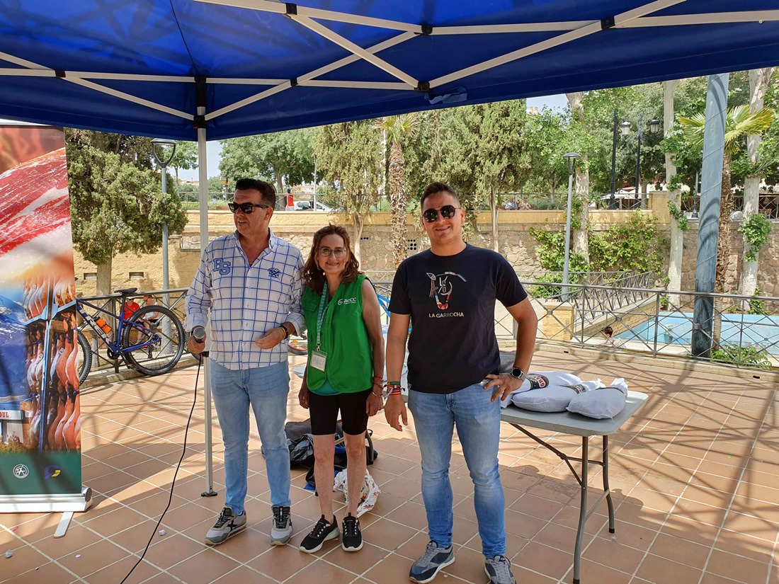 (AYUNTAMIENTO GUADIX)