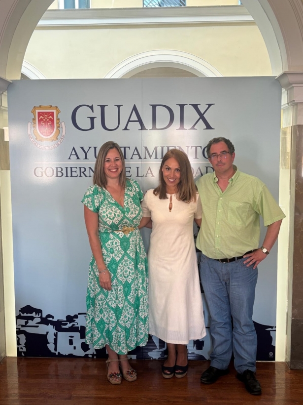 (AYUNTAMIENTO GUADIX) (AYUNTAMIENTO GUADIX)