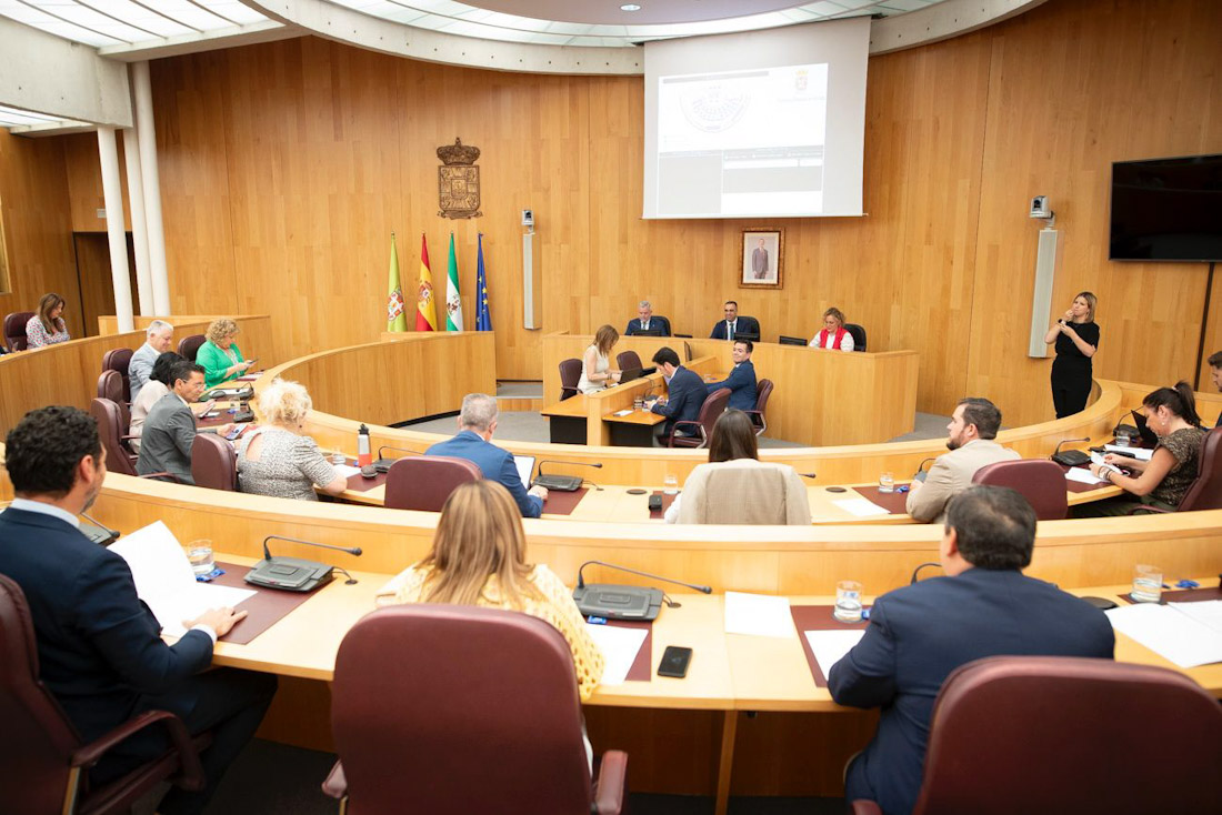 Pleno de la Diputación (ANTONIO L. JUÁREZ)