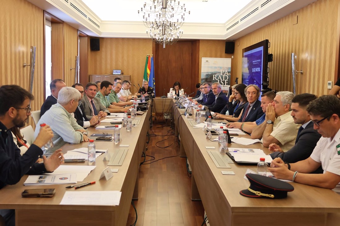 Comité Provincial de Dirección de la OPE 2025 (SUBDELEGACIÓN DEL GOBIERNO)