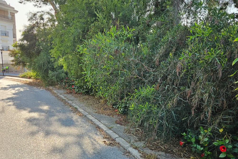 (AYUNTAMIENTO ALMUÑÉCAR)