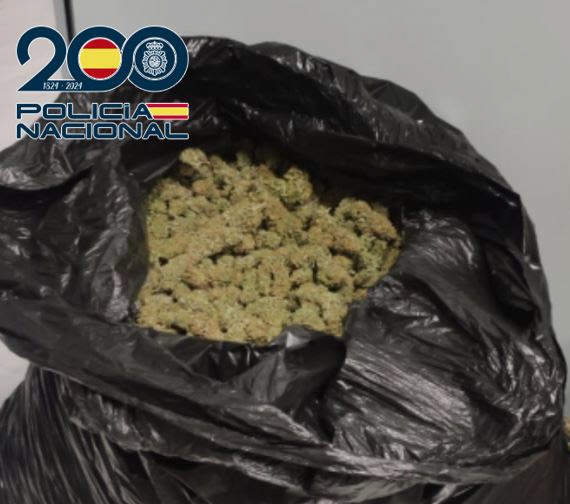 Marihuana incautada (POLICÍA NACIONAL) Marihuana incautada (POLICÍA NACIONAL)