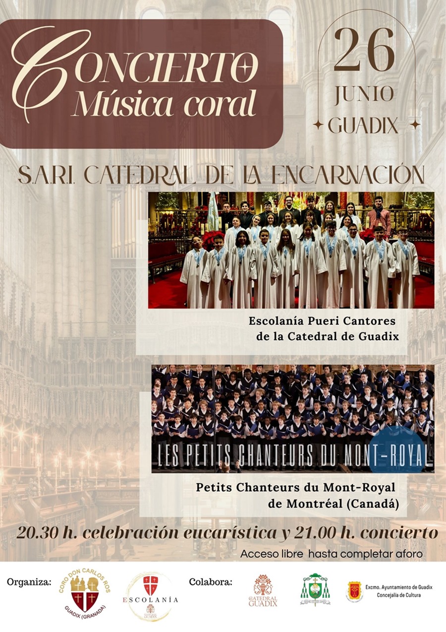 (AYUNTAMIENTO GUADIX)