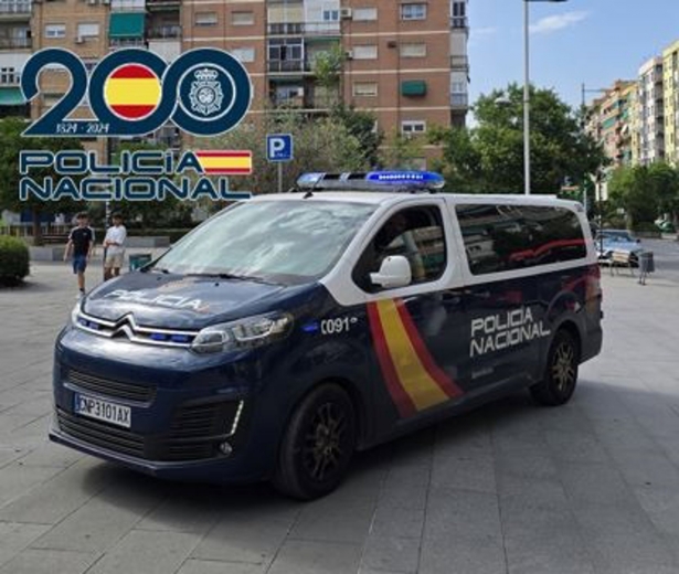 Coche de Policía Nacional en el entorno de Camino de Ronda (POLICÍA NACIONAL)