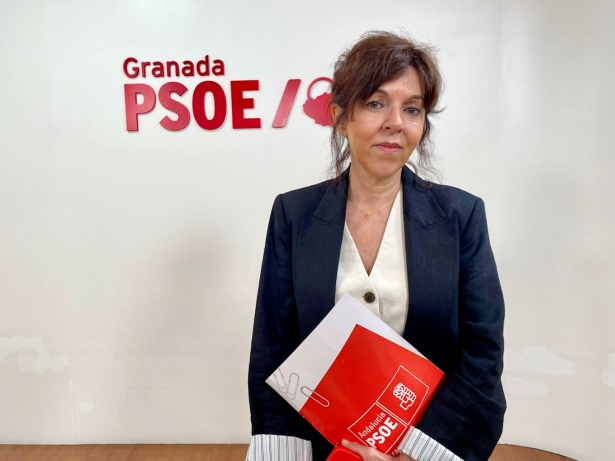 (PSOE) (PSOE)