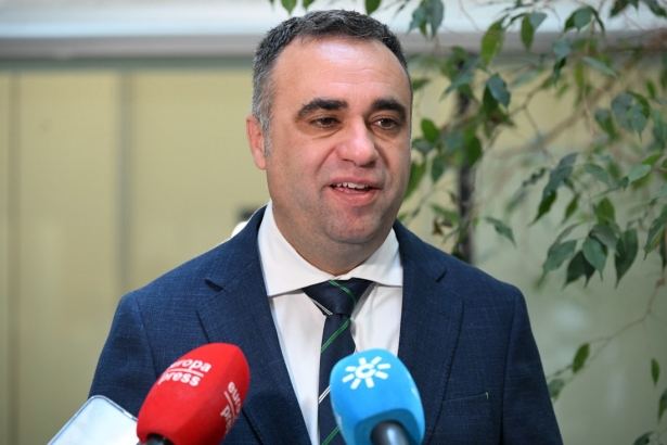 El presidente de la Diputación de Granada, Francis Rodríguez (DIPGRA) El presidente de la Diputación de Granada, Francis Rodríguez (DIPGRA)