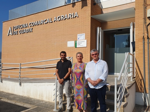 (AYTO. GUADIX) (AYTO. GUADIX)