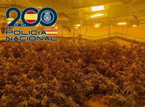 Plantación de marihuana `indoor` desmantelada (POLICÍA NACIONAL) Plantación de marihuana `indoor` desmantelada (POLICÍA NACIONAL)