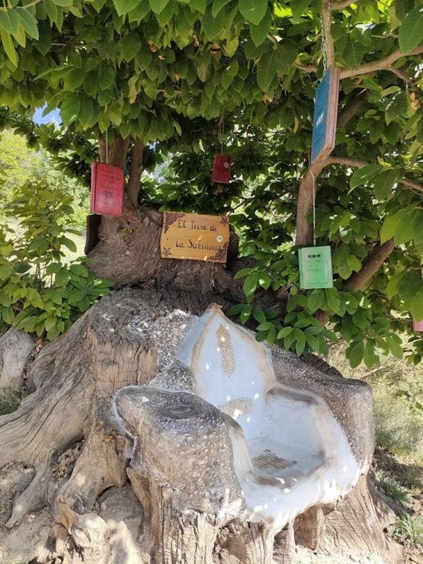 (ASOCIACIÓN CULTURAL LANJARÓN)