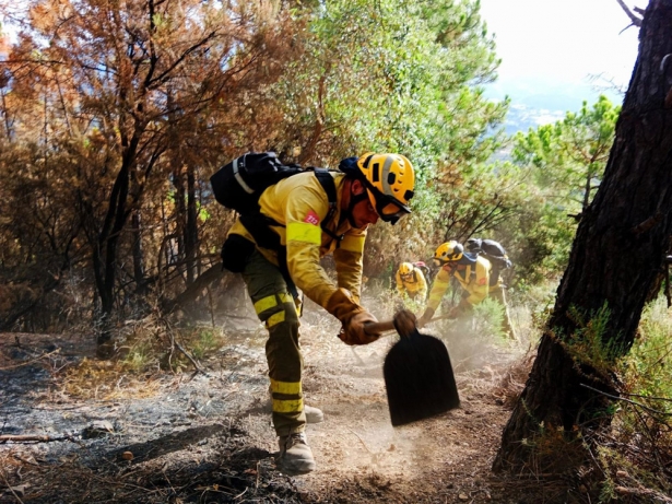 Bomberos forestales, en foto de archivo (INFOCA)