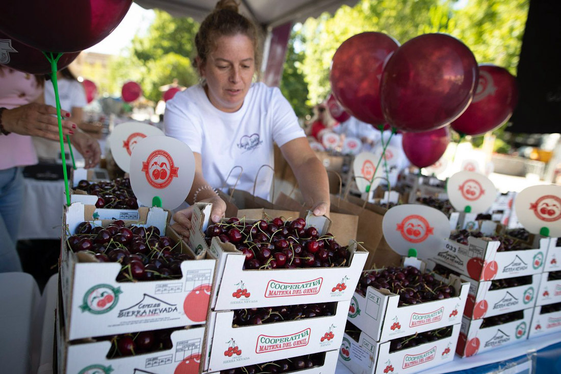 Acción promocional en la Fuente de las Batallas de cerezas güejareñas (ANTONIO L. JUÁREZ)
