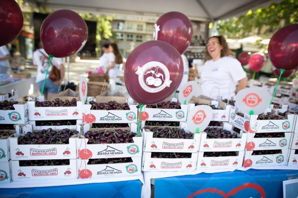 Acción promocional en la Fuente de las Batallas de cerezas güejareñas (ANTONIO L. JUÁREZ)