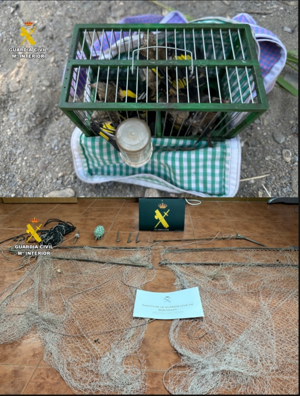 (GUARDIA CIVIL) (GUARDIA CIVIL)