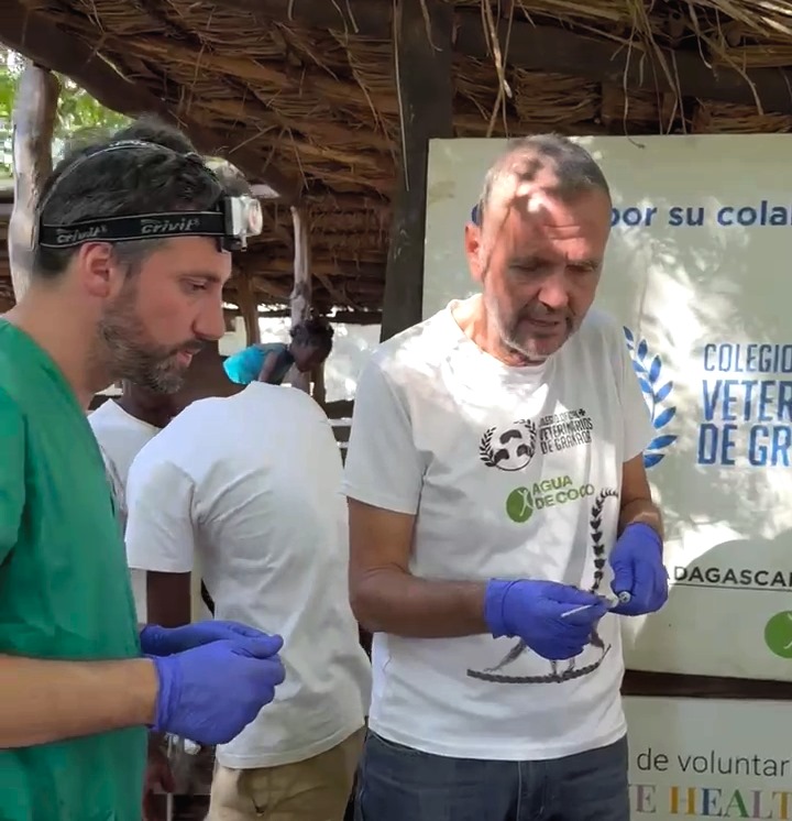 José Luis Guirao y Javier Maestra preparan la inseminación artificial de cabras malgaches con semen de la raza murciano-granadina (COLEGIOD E VETERINARIOS)