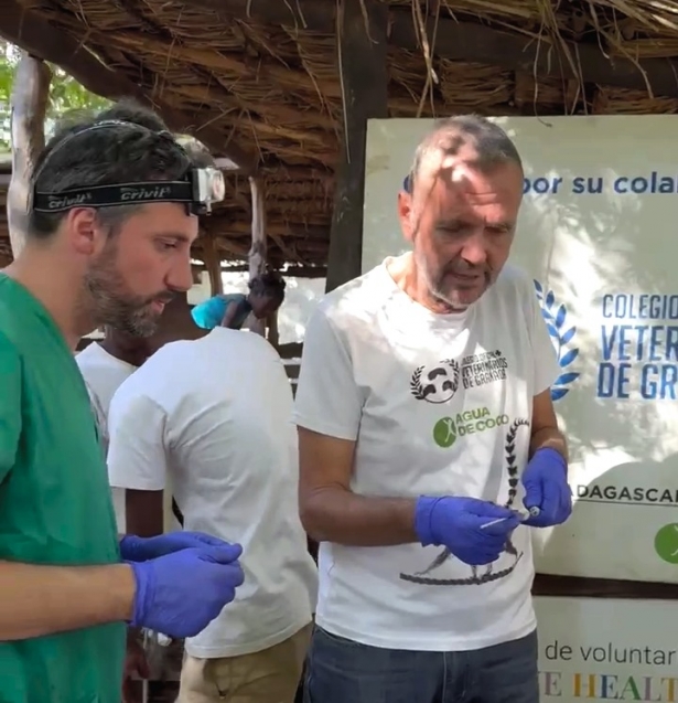 José Luis Guirao y Javier Maestra preparan la inseminación artificial de cabras malgaches con semen de la raza murciano-granadina (COLEGIOD E VETERINARIOS)