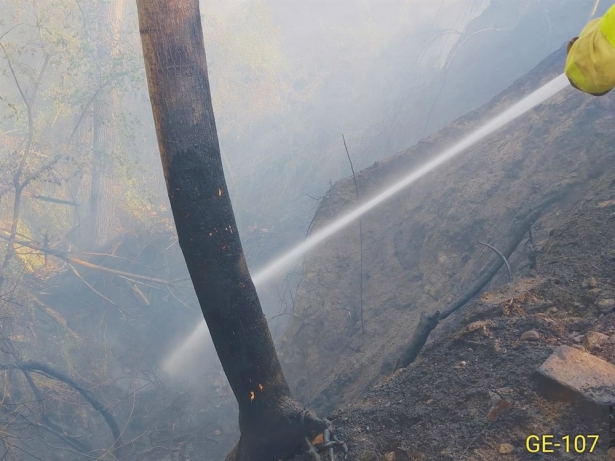 Incendio en la zona de Aguas Blancas (PERFIL DEL INFOCA EN LA RED SOCIAL X) Incendio en la zona de Aguas Blancas (PERFIL DEL INFOCA EN LA RED SOCIAL X)