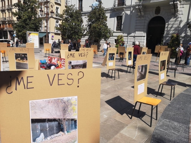 Concentración de la plataforma `La calle mata` en imagen de archivo (PLATAFORMA LA CALLE MATA) Concentración de la plataforma `La calle mata` en imagen de archivo (PLATAFORMA LA CALLE MATA)