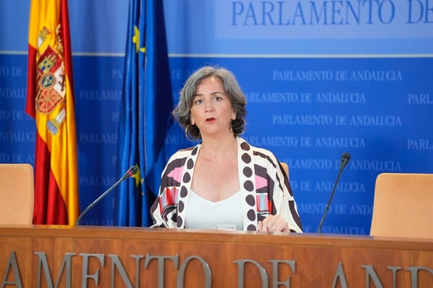 La parlamentaria de Adelante Andalucía Begoña Iza, en rueda de prensa. (JOAQUÍN CORCHERO/EUROPA PRESS)