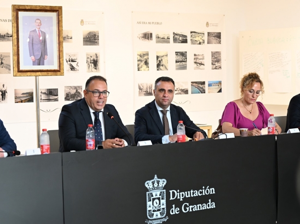 Pleno de la DIputación de Granada (DIPGRA)