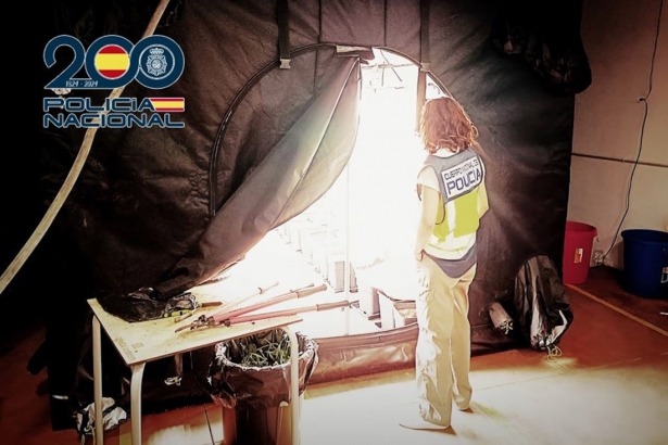 Plantación intervenida por la Policía Nacional de Granada (POLICÍA NACIONAL) Plantación intervenida por la Policía Nacional de Granada (POLICÍA NACIONAL)