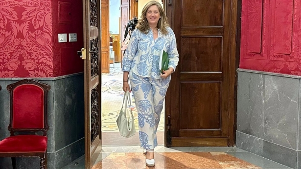 Beatriz Sánchez Agustino, portavoz de GM VOX Granada (VOX) Beatriz Sánchez Agustino, portavoz de GM VOX Granada (VOX)