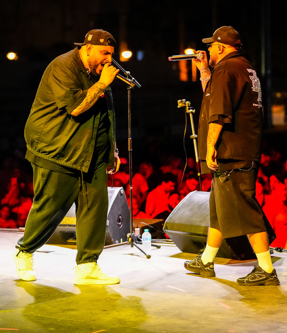 La Caña Flamenca (JAVIER MARTÍN RUIZ)