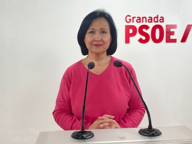 (PSOE) (PSOE)