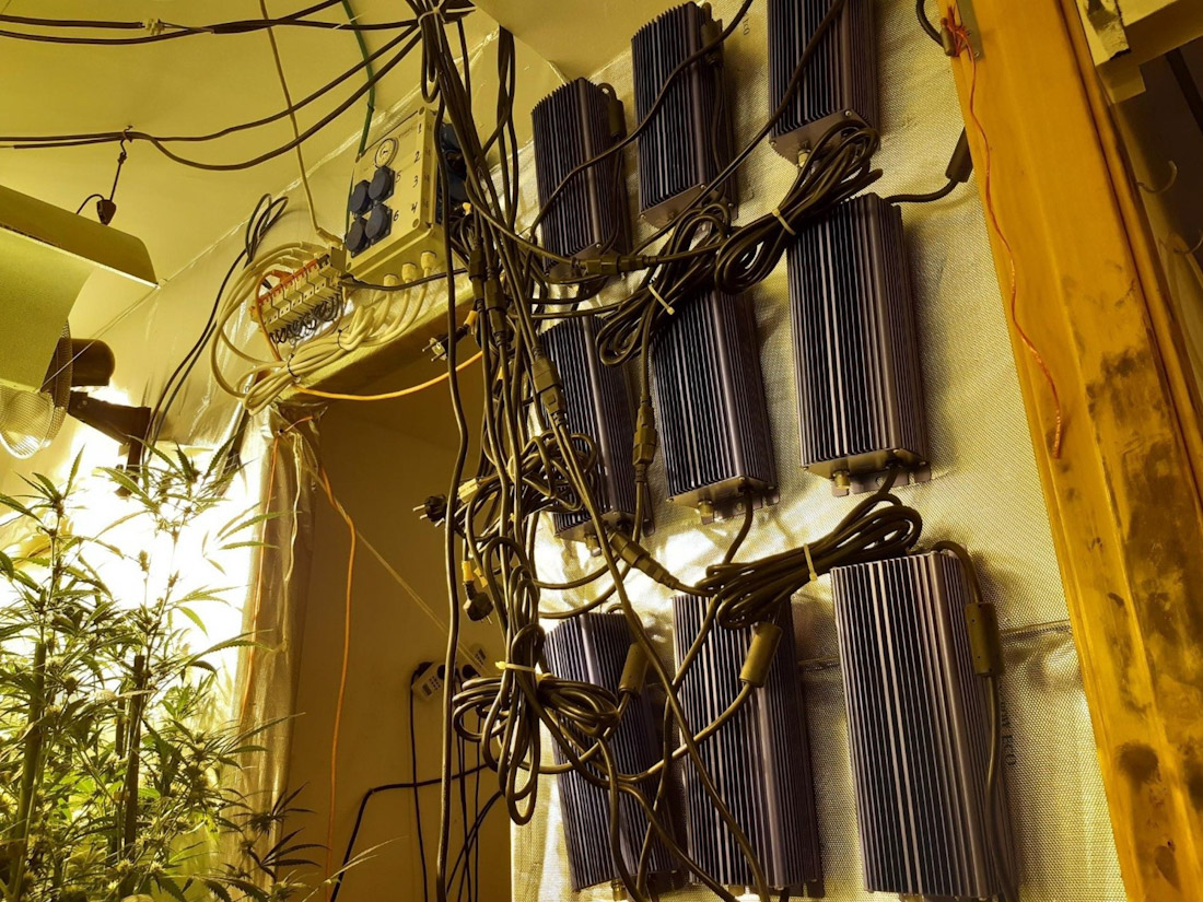 Instalación eléctrica en una plantación de marihuana (ENDESA)