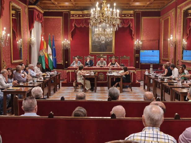 Pleno del Ayuntamiento de Granada. (AYUNTAMIENTO DE GRANADA) Pleno del Ayuntamiento de Granada. (AYUNTAMIENTO DE GRANADA)
