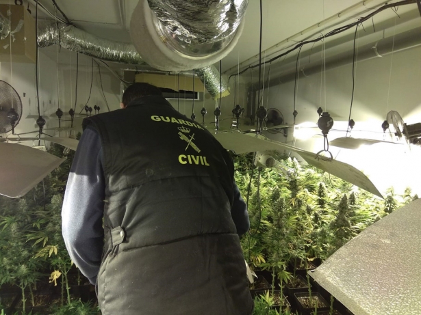 Decomiso de marihuana en la provincia de Granada. (GUARDIA CIVIL)