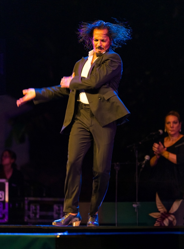 Actuación de Farruquito (JAVIER MARTÍN RUIZ) Actuación de Farruquito (JAVIER MARTÍN RUIZ)