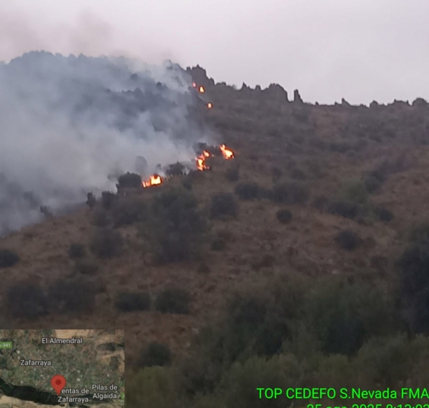 Incendio en el término municipal de Alhama de Granada (INFOCA CUENTA DE X)